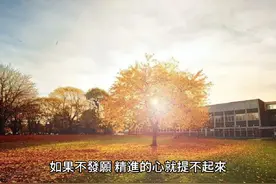 精进和不精进的差别#禅悟人生 #人生是一场修行 #佛学智慧