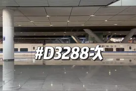 武汉站修得太远？如果要前往汉口站中转换乘，选乘动车组往往更快视频封面