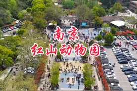 红山动物园错峰旅游攻略来了，记得点赞收藏出发前看一看