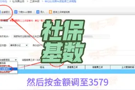 #社保 2024年河南省社保基数调整如何申报？视频封面