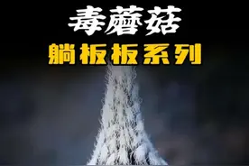 菌菇长得越古怪，吃了修仙就越快#蘑菇 #解压 #神奇的大自然 #野生菌 #科普一下