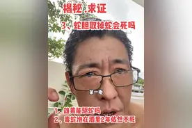 雄黄可以驱蛇吗？毒蛇泡在酒里2年还能咬死人？蛇胆取掉蛇会死吗#蛇类科普视频封面