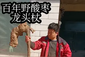 #民间手艺 #制作过程 #手工雕刻  #拐杖 #万物皆可盘  野酸枣，龙头杖，雕刻制作过程！