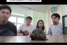 #meme #精神状态belike #憋笑挑战 #老外真会玩 #看一次笑一次视频封面