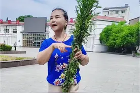 端午安康 今天是端午节，分享挂艾草🌿的小知识！#艾叶 #野生草药 #户外随拍 #阳光女人视频封面