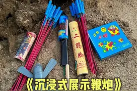 童年回忆老鼠洞 #老鼠#老鼠洞#汉奇烟花#解压#户外