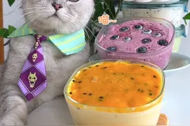 只需十元，就能实现哈根达斯自由！#会做饭的猫 #自制冰淇淋 #凯锐思 #一整只鸡主食冻干 #凯锐思厂开心扉