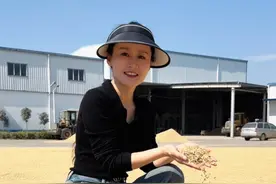 粮食烘干#创作灵感 #寻美京山 #三农