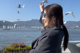 憨斑鸠到底是什么意思#海梗大坝 #海鸥