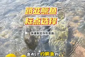 钓鳜鱼找到标点很关键，5种鳜鱼常用标点分享给大家❤️ #路亚