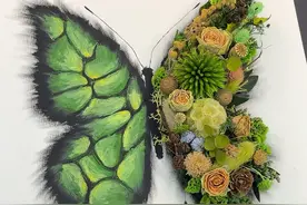 重生之蝴蝶永生花教程 #蝴蝶干花相框 #蝴蝶永生花相框 #蝴蝶 #手工diy #蝴蝶干花视频封面