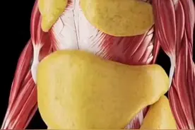 姐妹想快速掉秤，那一定是在早上空腹的时候，效果最好！ #居家锻炼 #暴汗燃脂瘦全身 #减肥 #大肚腩变小蛮腰 #健身