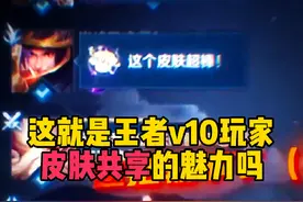 这就是王者v10玩家皮肤共享的魅力吗？ #王者荣耀