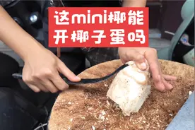 这么小的椰子能开椰子蛋吗？试一下！哈哈#椰痴 #网红椰子蛋视频封面