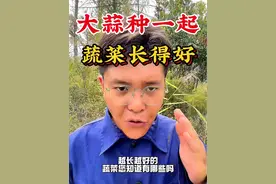 什么蔬菜和大蒜种在一起会越长越好#大蒜种植 #蔬菜套种 #新农人计划2024 #分享农业知识帮农民增产增收 #种植小技巧