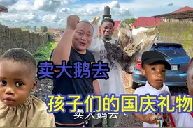 国庆节卖大鹅，老二喜欢收310万，孩子们穿新衣，小胃更换新发型