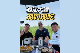 听说湘江魏家湾最近都不出鱼了，我不信邪，来看看怎么个事 #春天就该这样出门去野 #贵常春 #茅源菌种 #2025dou来钓鱼