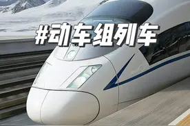 还在说D字头是动车，G字头是高铁？那你们可就大错特错了，本期视频将向各位分析如何选择性价比最高的动车组。#火车 #铁路 #知识领航者 #高铁视频封面