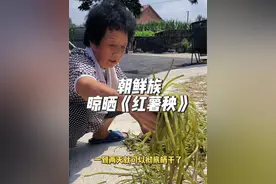 朝鲜族家里的红薯秧晒干以后，就能做出好吃的酱牛肉啦！#朝鲜族美食 #记录我的农村生活 #新农人计划2024