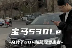 宝马530Le：新能源BBA都是杂牌子… #二手车 #宝马5系