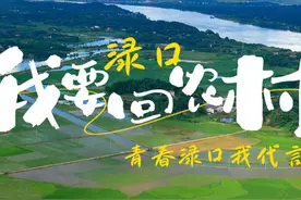 株洲市渌口区撤县改区六周年了！#直播株洲