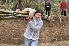 培培用传统工艺自制手工红糖，看看这八十斤甘蔗，到底能够熬出多少斤红糖呢？#我的乡村生活 #乡村守护人 #新农人计划2025 #乡村味道视频封面