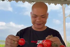 灵马鲶鱼 广西公路的传奇 有没有留下你们的遗憾#乡村美食 #我的乡村生活 #三农