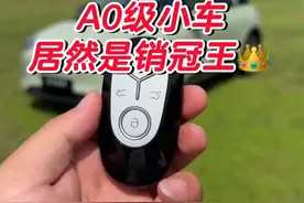 没想到，大家最爱的居然是这种小车车 #吉利星愿 #星愿这个赛季强的可怕 #小米汽车