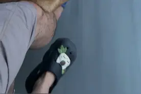 定位器都差点丢掉#萌宠 #动物的迷惑行为 #日常vlog