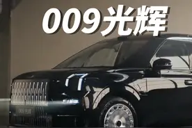 80万的MPV怎么选？ 第一批保姆车用户告诉你答案！#极氪001