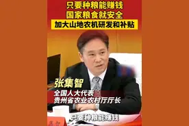 只要种粮能赚钱，国家粮食就安全，加大山地农机研发和补贴（来源：动静贵州）视频封面