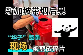 “我后悔了”！入境新加坡带的“华子”瞬间被剪成碎片！太吓人了