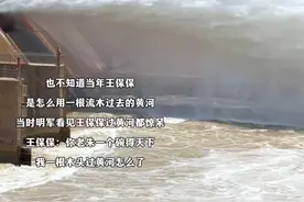 不看黄河都不知道王保保有多牛#黄河  #大明  #黄保保  #机位标签激励计划
