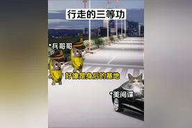 摩托化步兵 #猫meme #真实事件 #军人 #间谍 #摩托化步兵 @抖音热点宝 @DOU+小助手视频封面