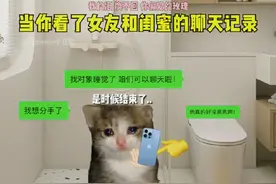 “当你看了女朋友和闺蜜的聊天记录 ”#猫meme小剧场 #爱情 #遗憾视频封面