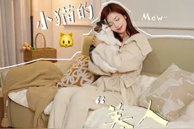 只有养猫人才知道，我们一直在被小猫照顾着！#猫咪日常vlog#科沃斯X9PRO#洗吸双核顶配