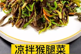 它跟蕨菜啥区别？谁知道给普及一下#蕨菜 #猴腿菜 #猴腿菜吃法 #山野菜 #山野菜做法