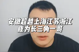 安徽超越上海江苏浙江成为2024年长三角一哥 #财经 #汽车#安徽#长三角#经济视频封面