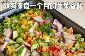 双狗家庭一个月的蔬菜备餐 小狗的蔬菜备餐来啦！大概一个月的量，占比约每餐喂食量10% #养狗人 #解压 #记录真实生活 #备餐 #热门
