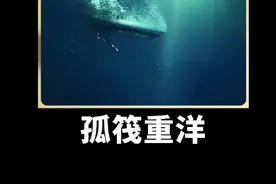 木头完全泡水有何妙用 #好物推荐🔥 #男士必备 #东方甄选视频封面