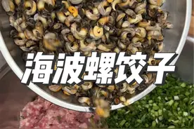 #农村美食 很多山东人都没听过的海波螺饺子，每一口都是大海的味道#我的乡村生活 #2024新农人计划 #乡村美食