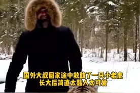 国外大叔回家途中救助了一只小老虎 长大后简直太粘人太可爱#老虎 #治愈 #神奇动物在抖音视频封面