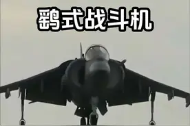 #垂直起降 #创作者中心 #创作灵感 鹞式战斗机是一款纯英国血统制造的飞机，开创垂直起降的先河，也是英国皇家海空军最后的骄傲！#军事科普 #军事科技视频封面