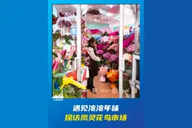 遇见浓浓年味，探访#上海 岚灵花鸟市场。（供稿：普陀区融媒体中心）视频封面