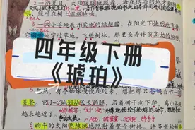 #四年级下册语文   四年级下册语文《琥珀》重点考点#知识点总结 #预习课本 #手写笔记视频封面