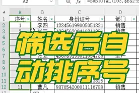 筛选后自动排序号#excel函数 #中考成绩 #表格制作教学