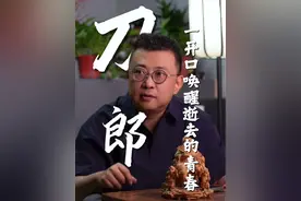 一本书、一个故事、一首歌，唱的都是我逝去的青春#刀郎 #刀郎演唱会 #逝去的青春 #披着羊皮的狼视频封面