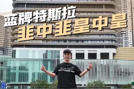 买蓝牌特斯拉的都是什么人啊？ #特斯拉 #特斯拉第一批车主   #models