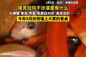 塔克拉玛干沙漠里有什么？ 大闸蟹、黑鱼、甲鱼、南美白对虾、澳洲龙虾……今年9月份将端上大家的餐桌 #新疆海鲜 #大闸蟹 #塔克拉玛干沙漠