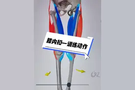 理解膝内扣底层逻辑很重要 #健身干货 #膝内扣 #x型腿